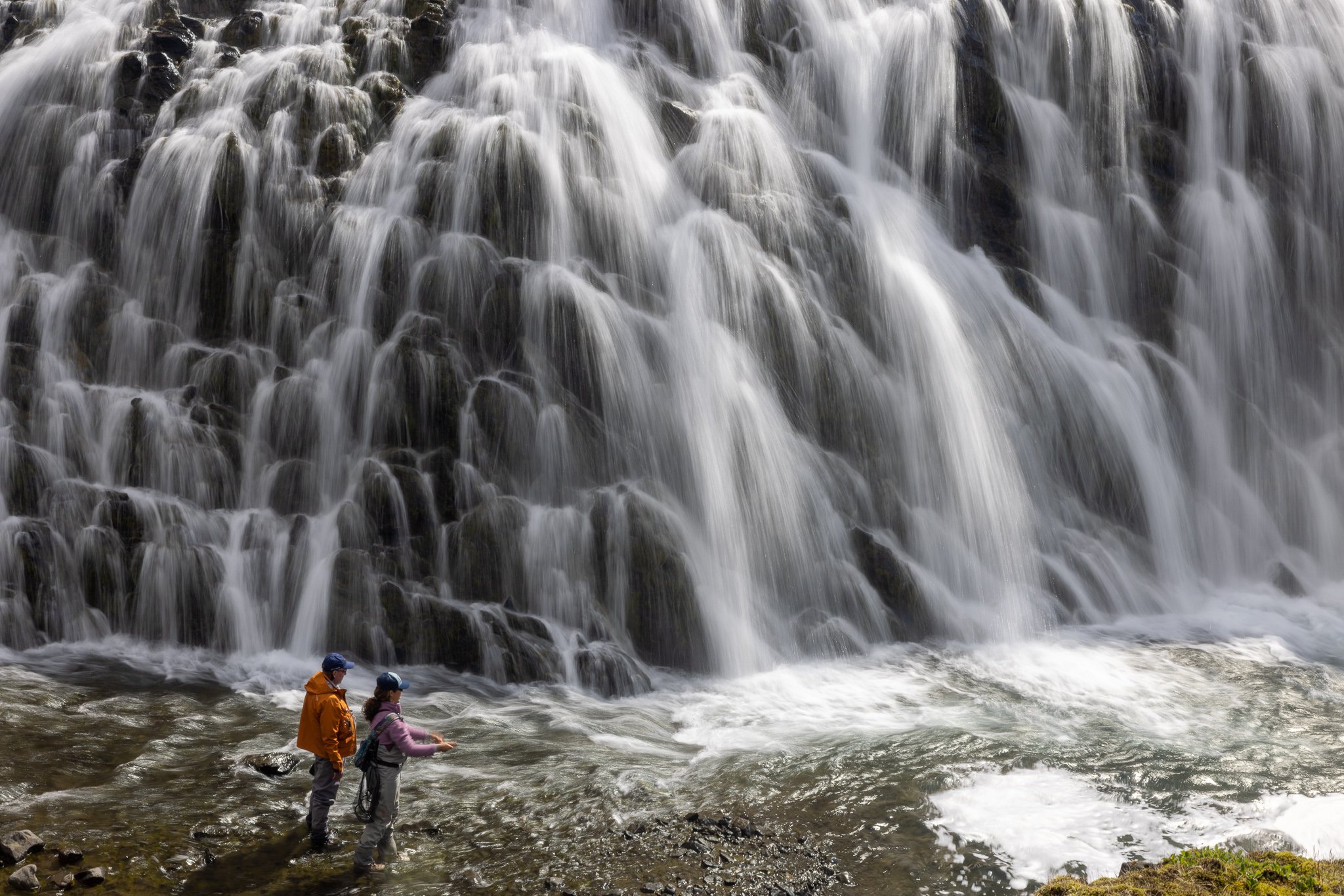 Fly Fishing for Arctic Char Beneath an Iceland Waterfall — Trout